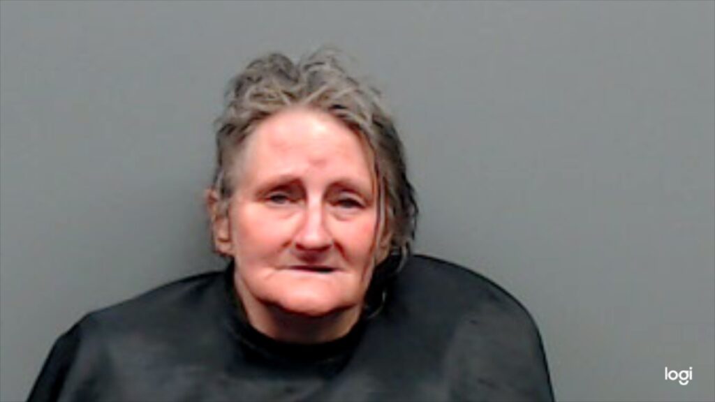 TAYLOR, BRIGITTE GAYLE booking photo