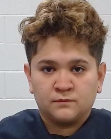 Ahumada Fernandez, Adminta booking photo