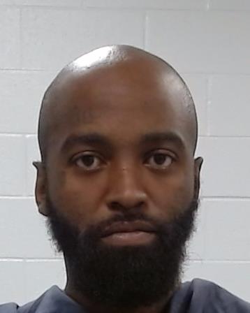 Starling, Lanee booking photo