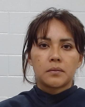 Hernandez Lopez, Enelida booking photo