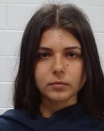 De Andrade, Rafaela Carlos Antunes arrested by Collin County SO