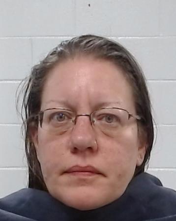 Wiggins, Holli Michele arrested by Collin County SO