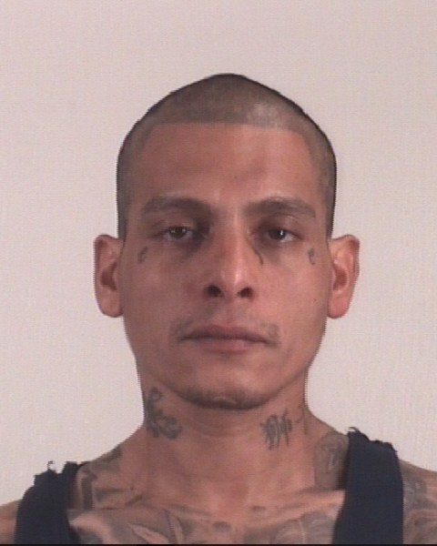 CARLOSJR SOLIS booking photo