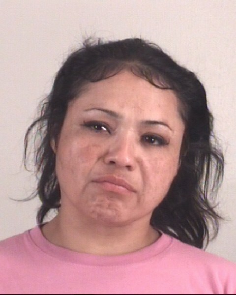ESTRELLA ESTRADA booking photo