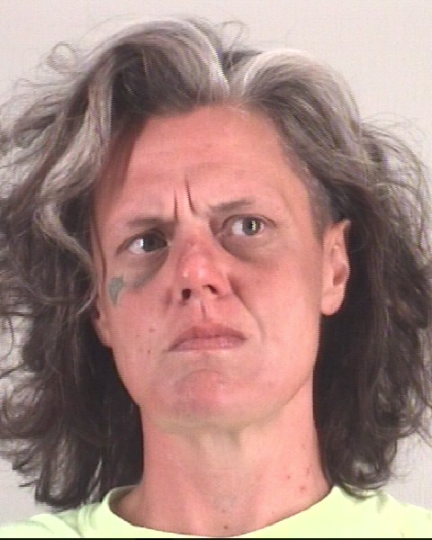 ELIZABETH TURNER booking photo