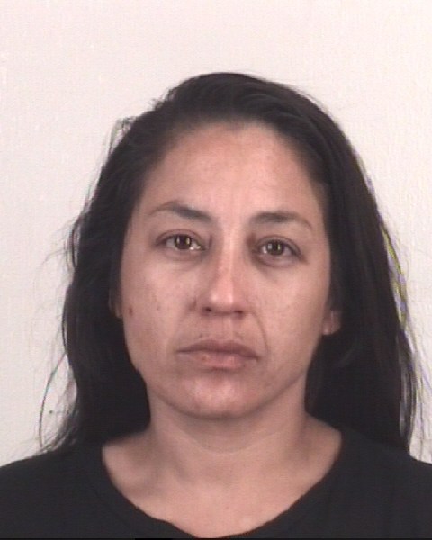 AMY GONZALEZ booking photo
