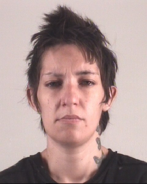 AUTUMN FLOWERS booking photo