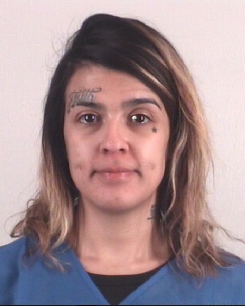 ALEXIS GARCIA booking photo