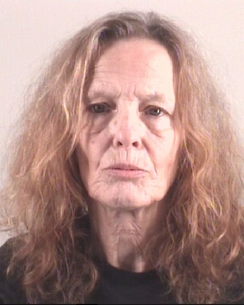 CAROL LINEHAN booking photo