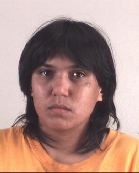 ULANI NUNES booking photo