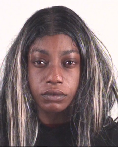 AGNES WILSON booking photo