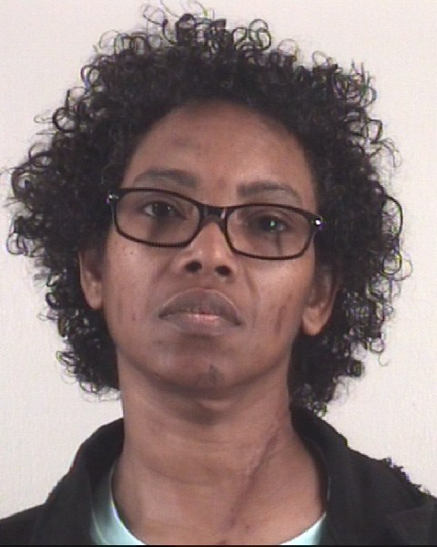 CHERYL HOLLOWAY booking photo