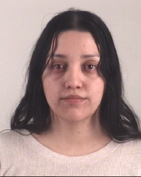 KAREN BALLESTEROSFERNANDEZ booking photo