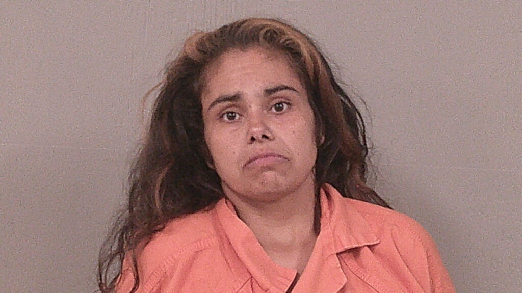 MARTINEZ, MONIKA LEE arrested in Burnet County, Texas mugshot