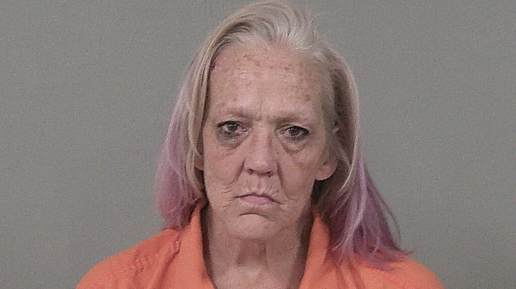 DALTON, DONNA KAY arrested in Burnet County, Texas mugshot