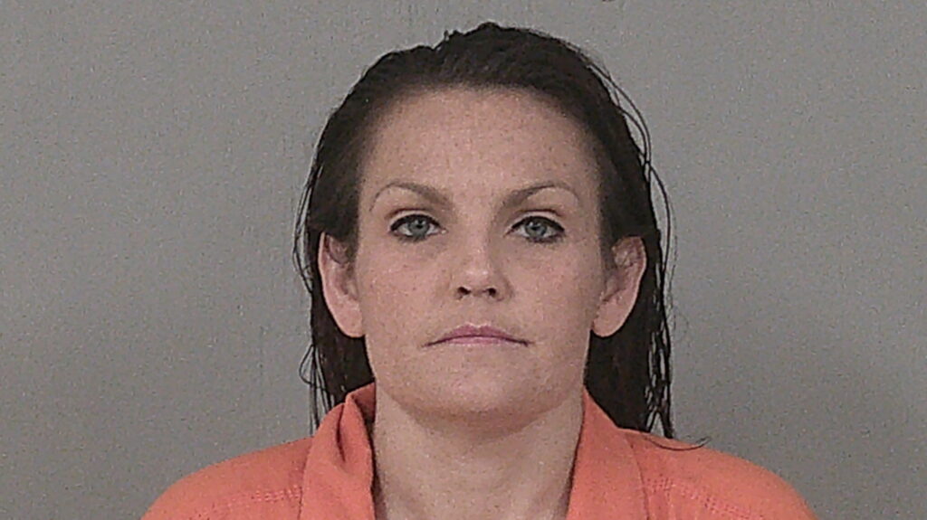 JOHNSON, AMANDA MARIE arrested in Burnet County, Texas mugshot