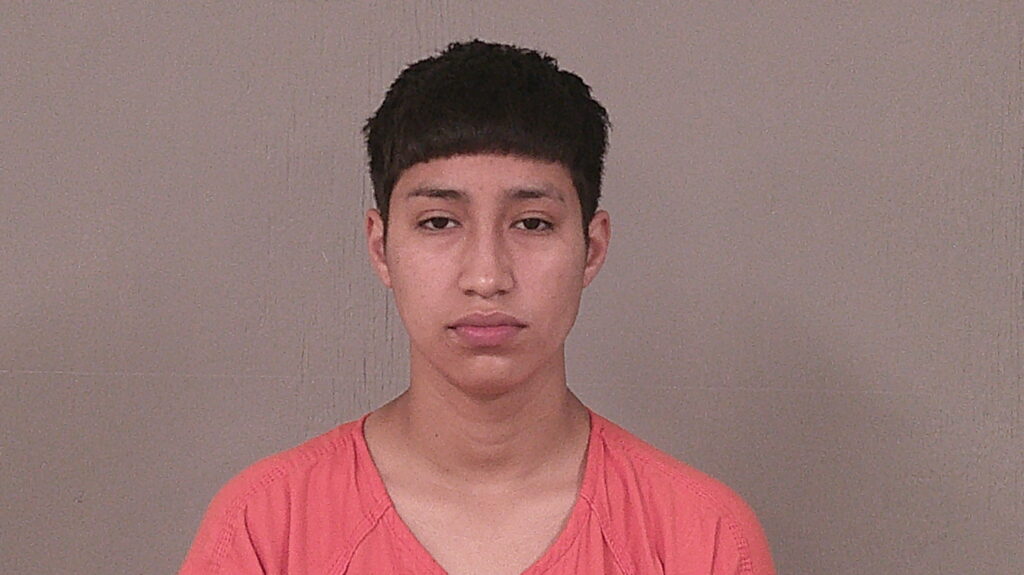 FLORES, ISABEL arrested in Burnet County, Texas mugshot