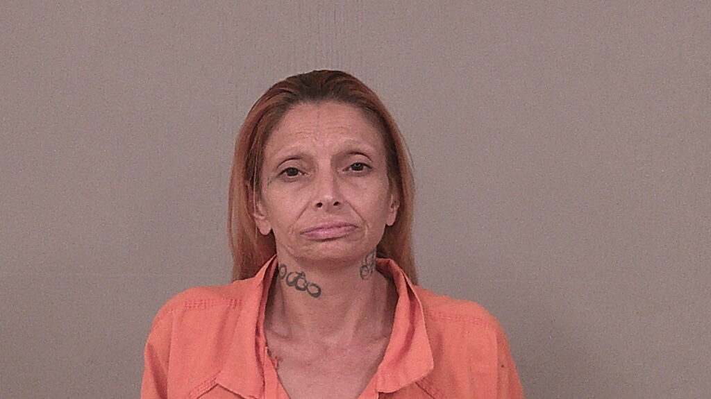 DIAZ, ELIZABETH arrested in Burnet County, Texas mugshot
