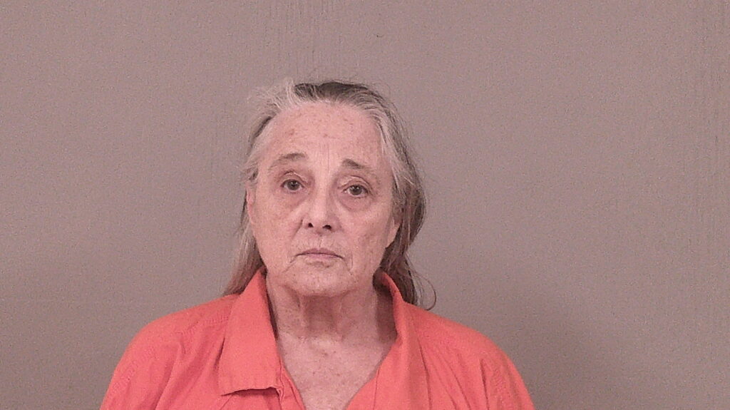 GULICK, MICHELE DAWN arrested in Burnet County, Texas mugshot