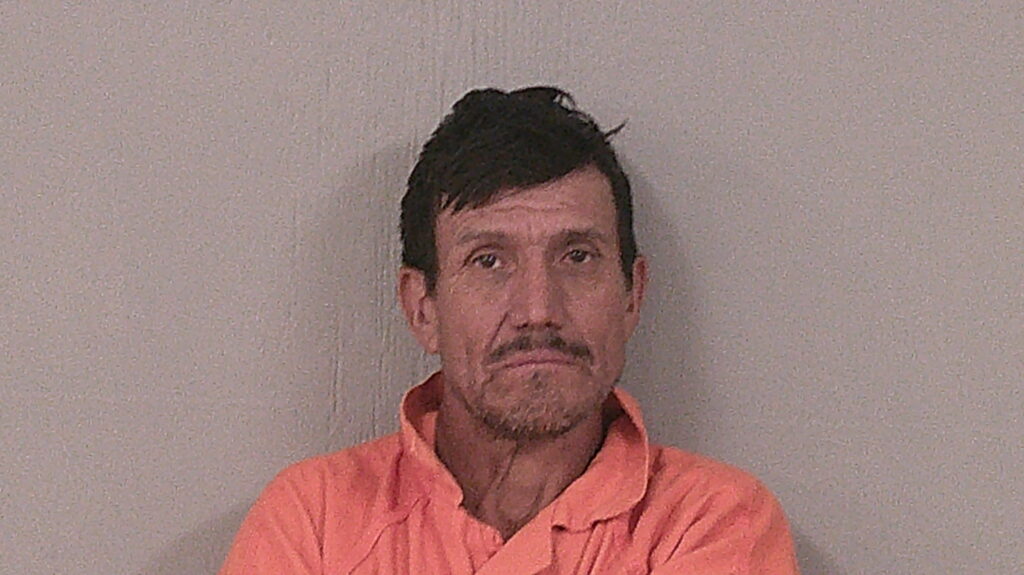 PALACIOS, ELIO VEGA arrested in Burnet County, Texas mugshot