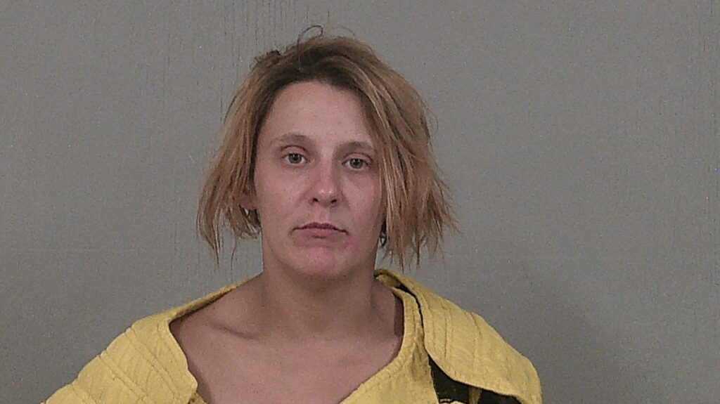 NORTH, JANNA RENEE arrested in Burnet County, Texas mugshot