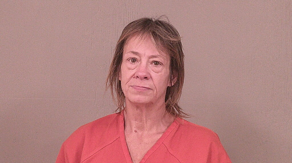 JOHNSON, KIMBERLY ANN arrested in Burnet County, Texas mugshot