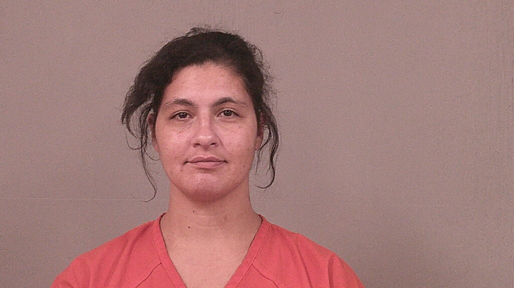 DELUNA, LAURA ELIZABETH arrested in Burnet County, Texas mugshot