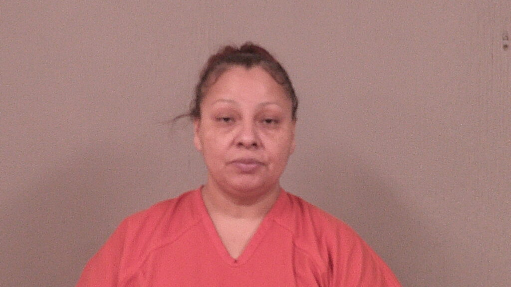 SANCHEZ, ELENA MORENO arrested in Burnet County, Texas mugshot