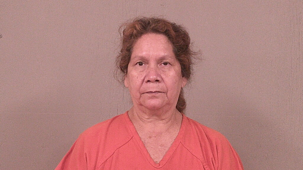 DELGADO, SALLY ONOFRE arrested in Burnet County, Texas mugshot