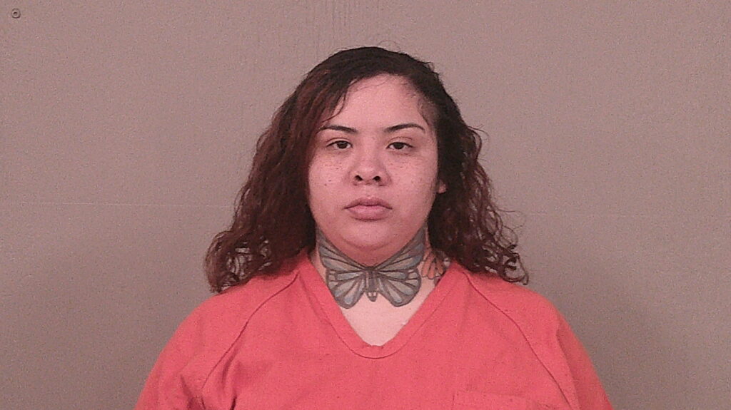 DAVILA, MARLINE arrested in Burnet County, Texas mugshot