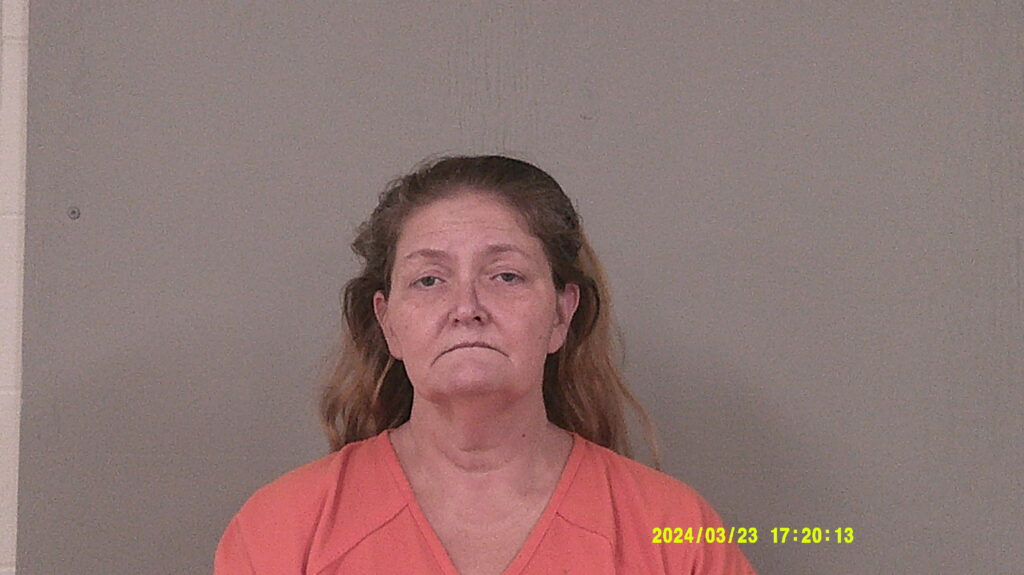 CULLINS, SHANNON DENISE arrested in Burnet County, Texas mugshot