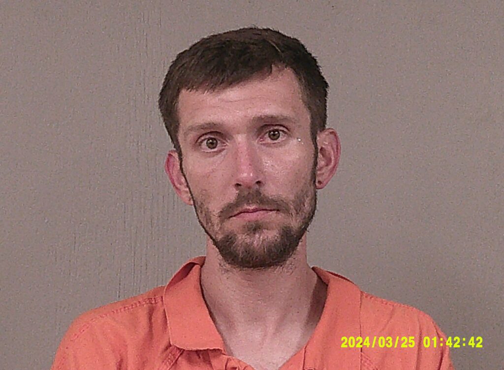 WILLS, KYLEY DENTON arrested in Burnet County, Texas mugshot