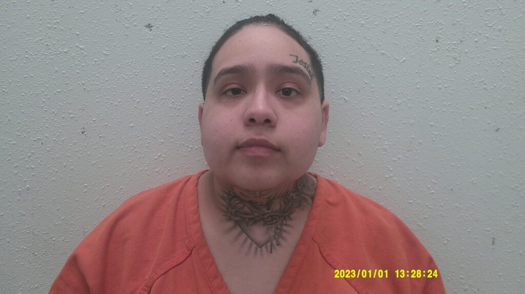 COLUNGA, DIAMOND arrested in Burnet County, Texas mugshot