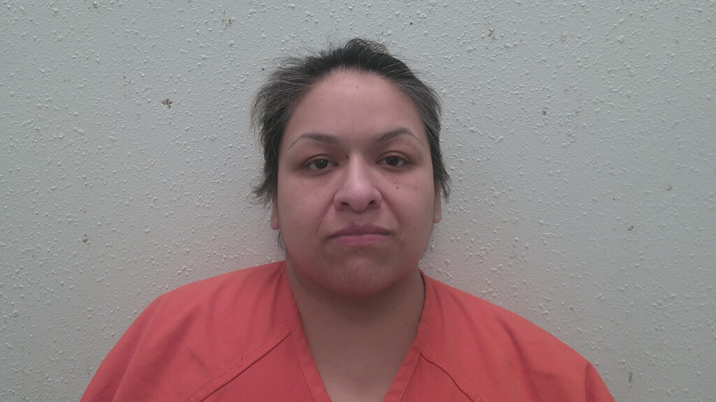VEGA, MONICA ANN arrested in Burnet County, Texas mugshot