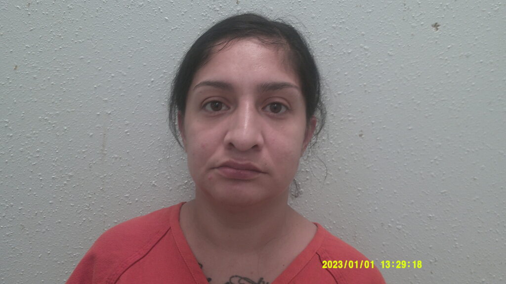 RAMIREZ, PRISCILLA ANN arrested in Burnet County, Texas mugshot