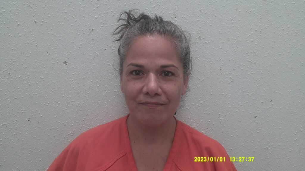 ALVARADO, BELINDA arrested in Burnet County, Texas mugshot