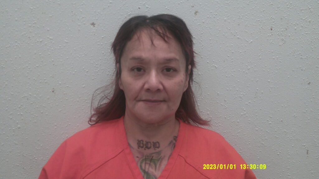 TIETZ, DENISE arrested in Burnet County, Texas mugshot