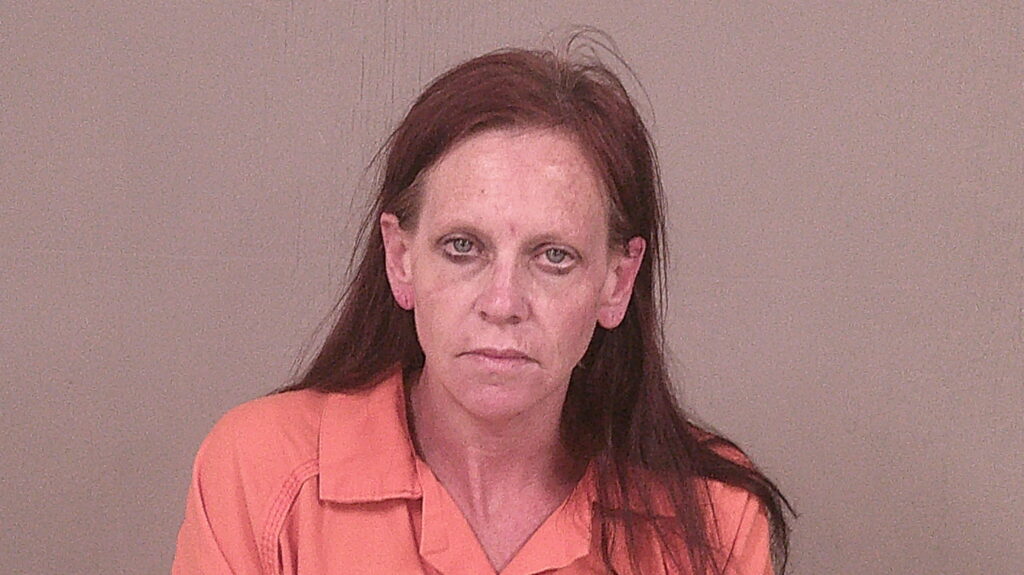 STONE, JANA LEIGH arrested in Burnet County, Texas mugshot