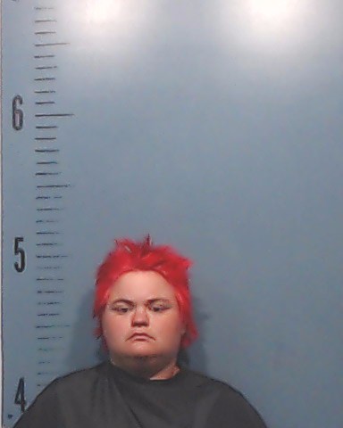 Finogle, Sierra Dawn arrest record in Taylor County, Texas Finogle, Sierra Dawn arrested in Taylor County, Texas mugshot