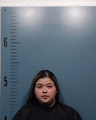 Rodriguez, Ashley Nicole arrested by Taylor County SO/PD