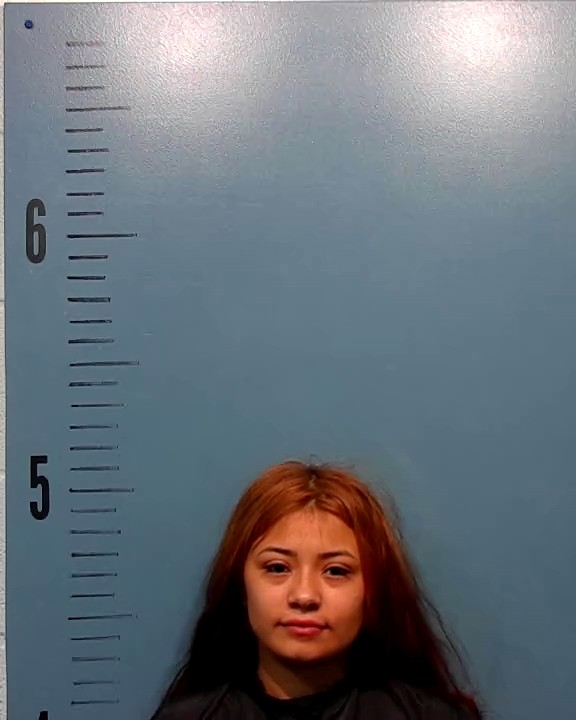 Houston, Erica Danielle arrested by Taylor County SO/PD