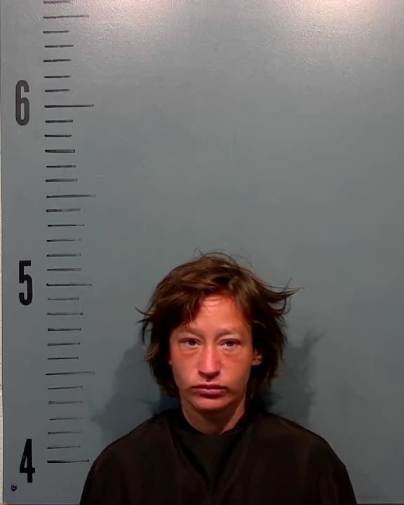 Nickels, Dovie Jane arrest record in Taylor County, Texas Nickels, Dovie Jane arrested in Taylor County, Texas mugshot