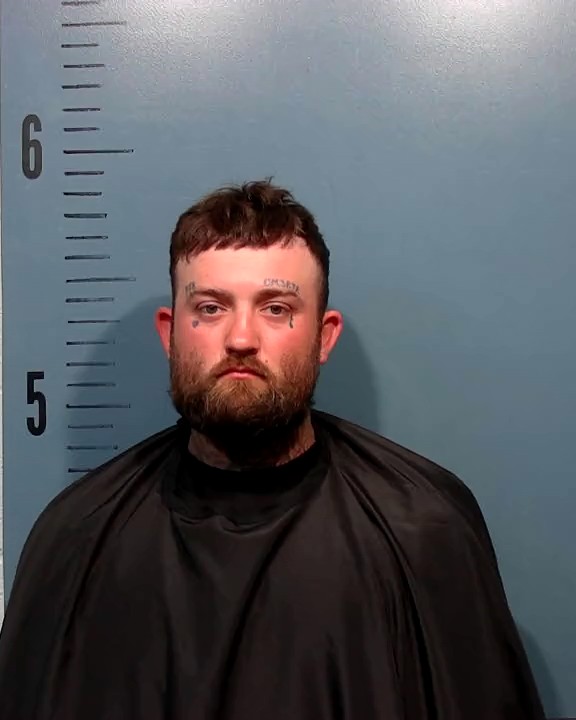 Hodges, James Lewis, II arrested by Taylor County SO/PD