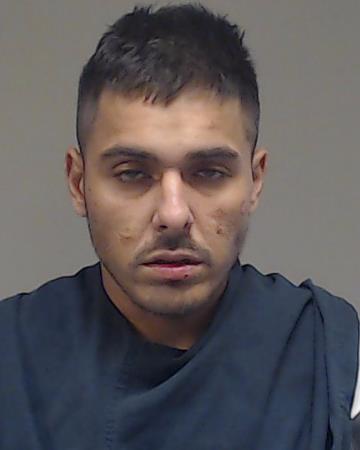 NICHELOS, BABY BOY arrested by Collin County SO/PD
