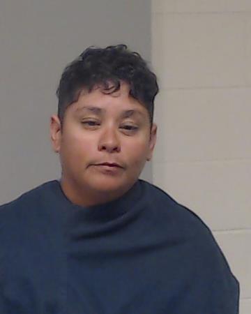 Chiquini, Veronica Rocio arrested by Collin County SO/PD