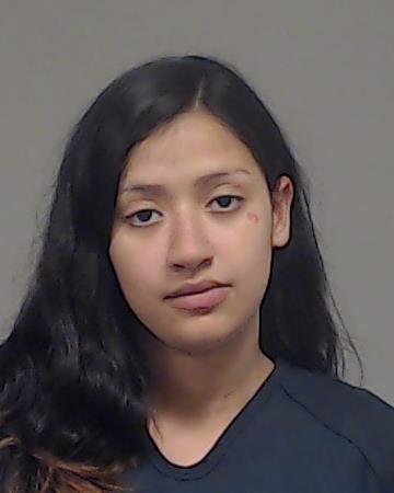Rodriguez, Luisa Angelica arrested by Collin County SO/PD