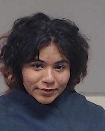 Castro, Alondra Gizeel arrested by Collin County SO/PD
