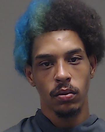 Dunning, Sir Lee arrested by Collin County SO/PD