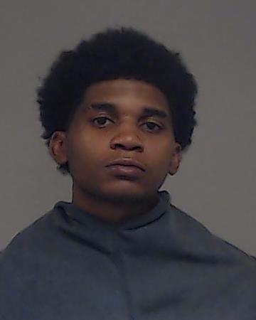 Fleming, Giovanni arrested by Collin County SO/PD