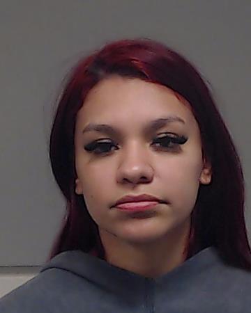 Fernandez, Melanie Alejandra arrested by Collin County SO/PD